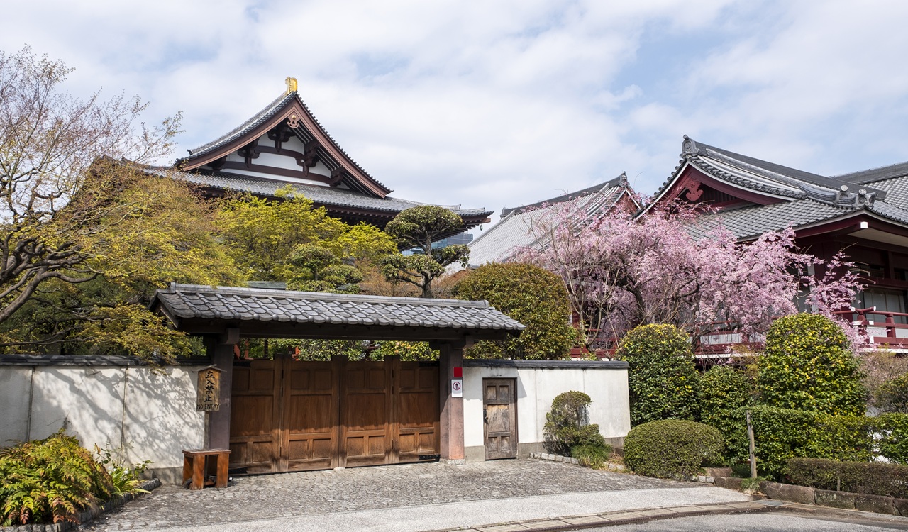 5 Inspirasi Rumah Minimalis Ala Jepang yang Anti Ribet, Terapkan Gaya Ini!