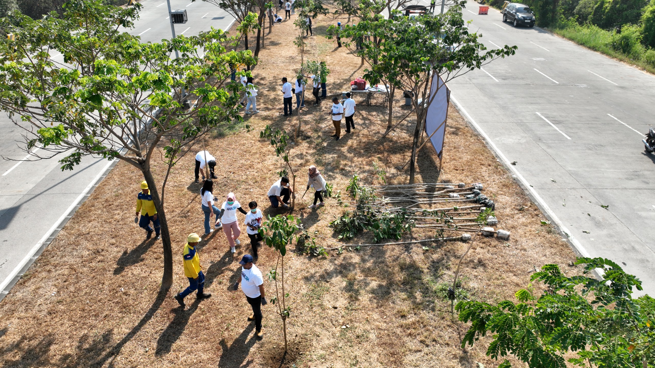 Tanam 200 Pohon, Terminal Teluk Lamong Bantu Serap 25 Ton Emisi Karbon