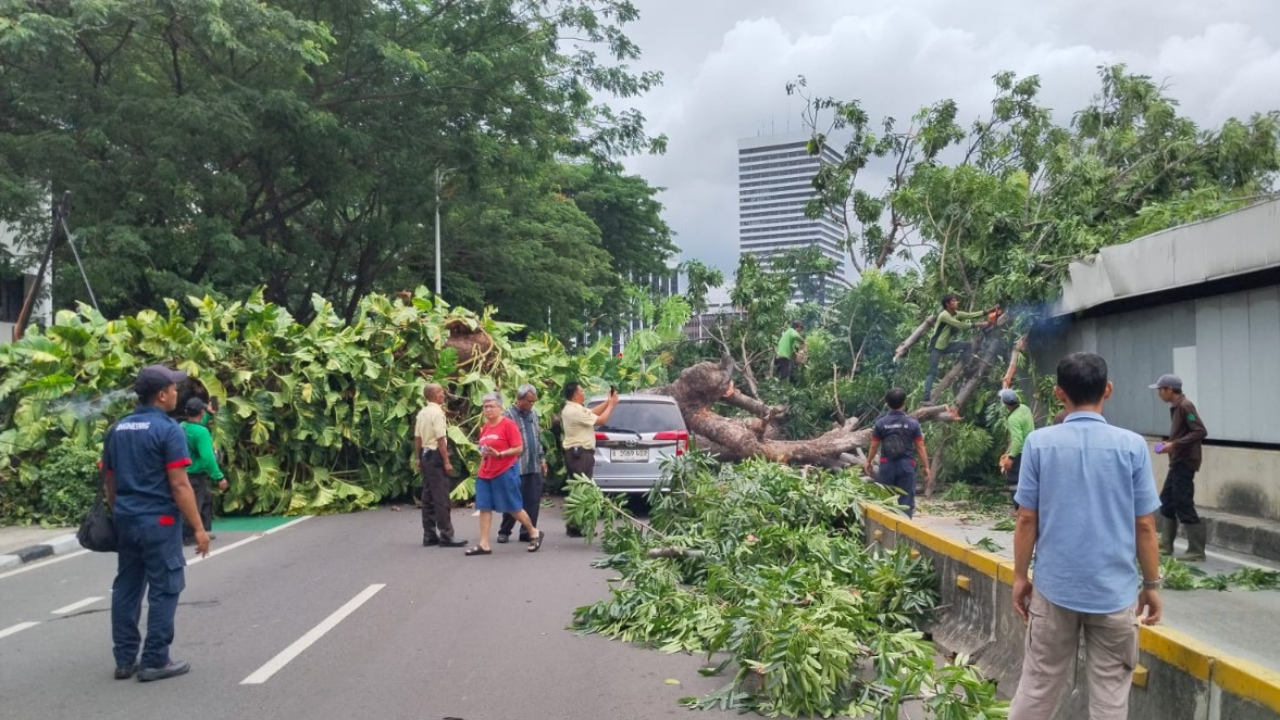 Rute Transjakarta Koridor 1 Blok M-Kota Dialihkan Imbas Pohon Tumbang 
