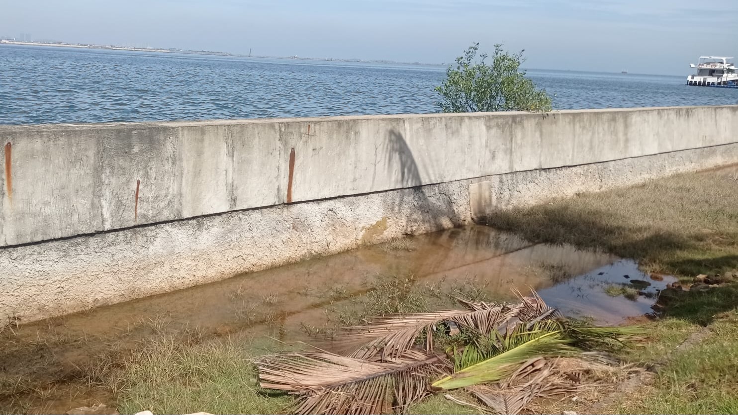 Rembesan Air Laut di Pantai Mutiara Kian Parah, Warga Tambal Mandiri Tanggul Bocor