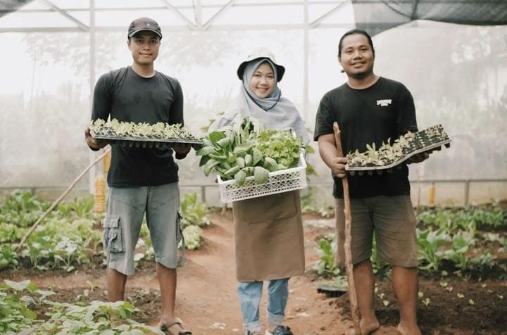 Alan So, Petani Milenial Gresik yang Kembangkan Sayurganik