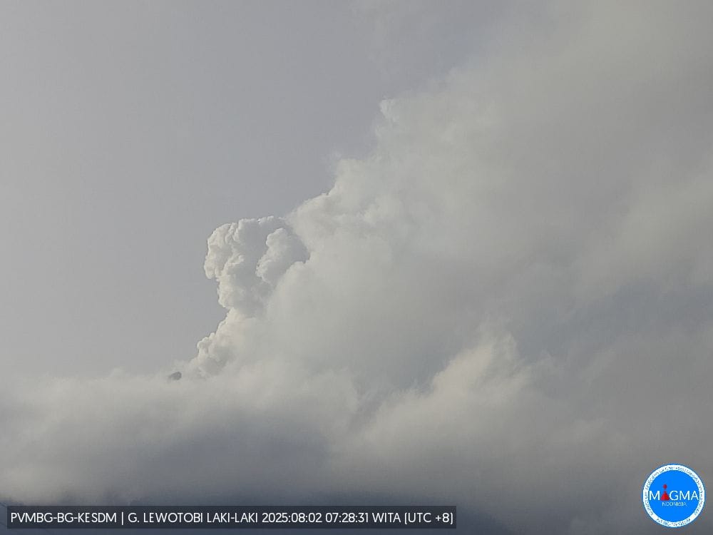 Erupsi Gunung Lewotobi Meningkat, Warga Diminta Segera Tinggalkan Zona Bahaya