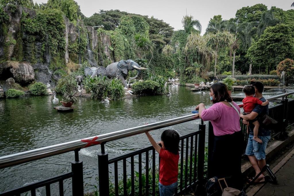 Libur Tahun Baru 2023, Kebun Binatang Ragunan Diserbu 66 Ribu Pengunjung