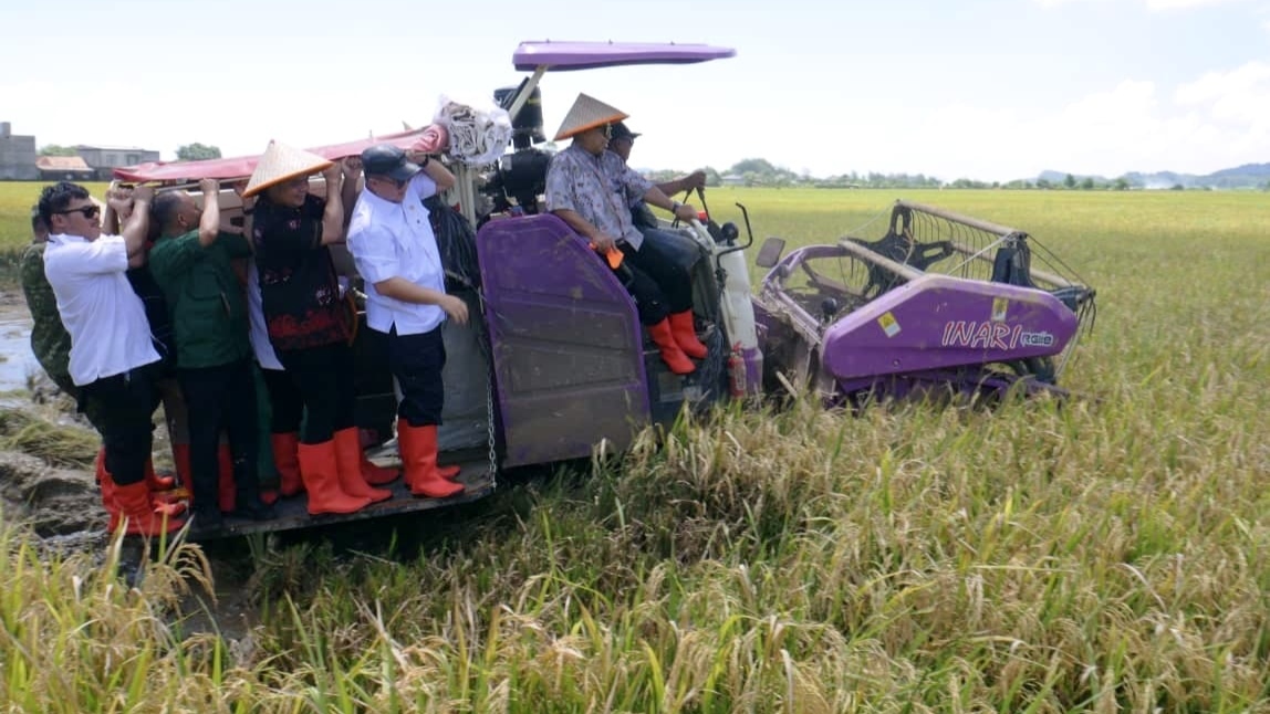 PGN–BRIN Dongkrak Produktivitas Pesisir, Panen Biosalin Jepara Tembus 176 Ton