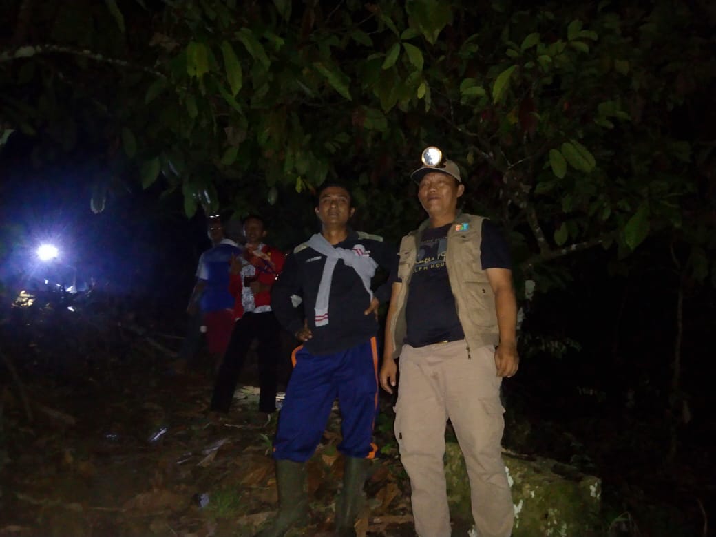 Terpecah Dua Kelompok, Kawanan Gajah di Suoh Merepotkan Petugas