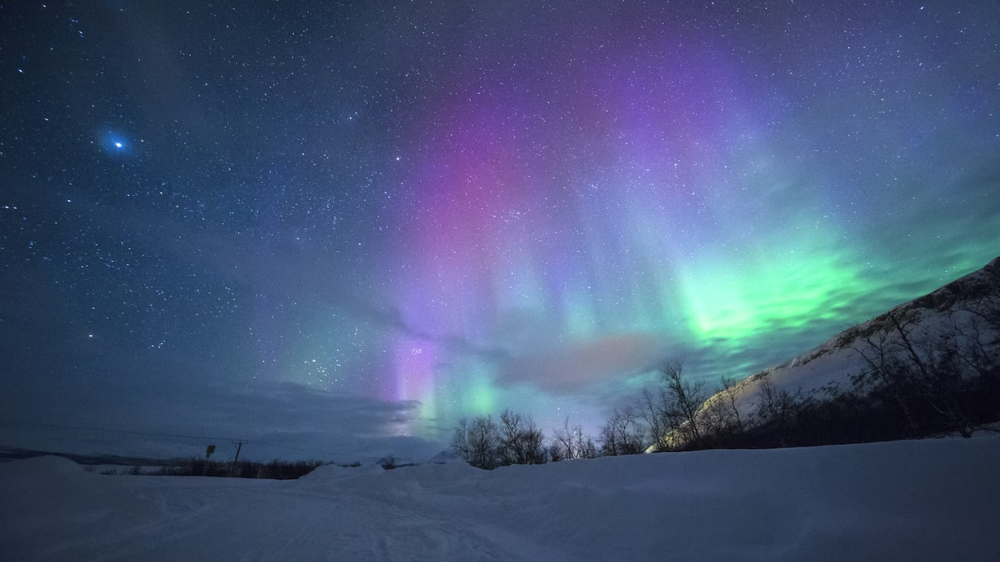 Ada Fenomena Aurora Borealis di Langit Amerika dan Eropa, Kenapa di Indonesia Tidak Muncul?