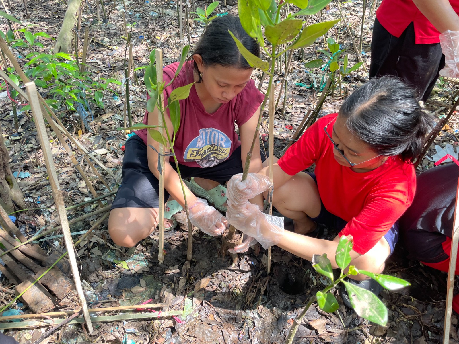 OMK Hati Kudus Yesus dan Kevikepan Surabaya Selatan Rayakan Hari Bumi dengan Aksi Nyata: Tanam 1000 Bibit Mangrove