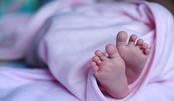 Mayat Bayi di Pinggir Pintu Tol Kebon Jeruk Ditemukan Oleh Pedagang, Pelaku Dalam Pencarian