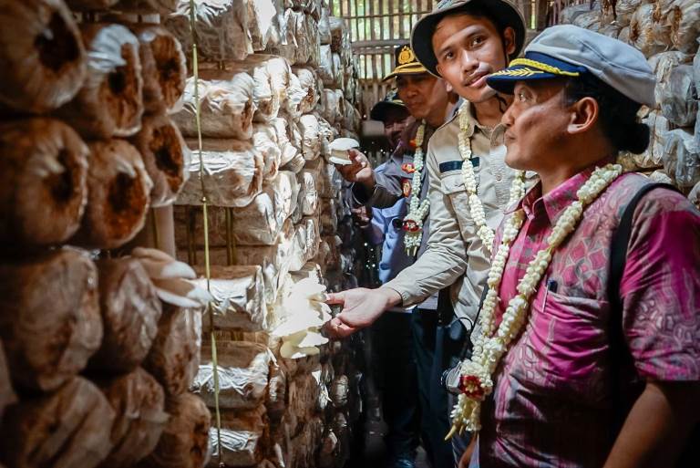 Anugerah Patriot Jawi Wetan II 2024: Tari Singo Mbah Wulung dan Tari Jejer Gandrung