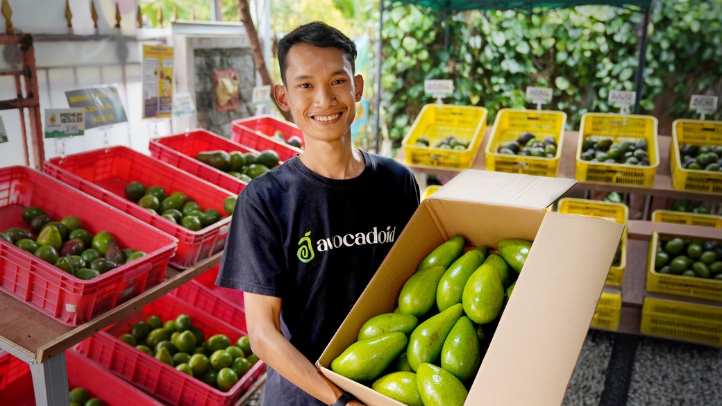 Avocadoid, Wujud Kesadaran Pentingnya Pelindungan Kekayaan Intelektual 