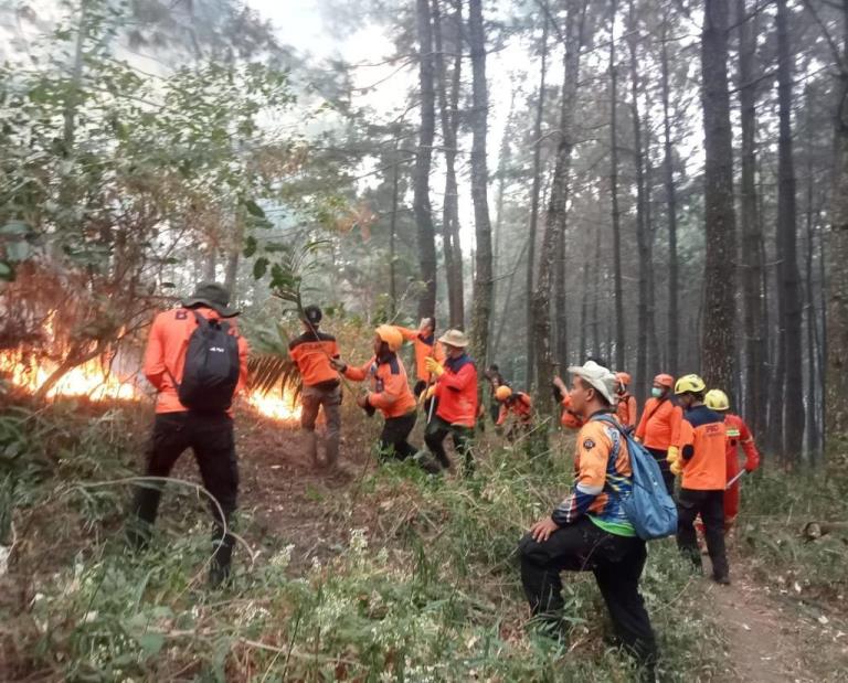 BNPB-BPBD Bentuk Satgas Karhutla Lintas Provinsi