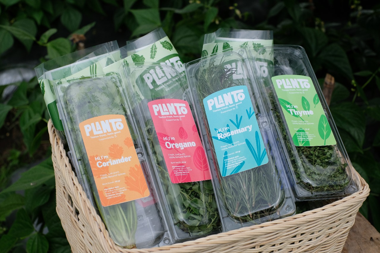 Gandeng Centrigo, Sayurbox Luncurkan PLANTO, Sayuran Kualitas Premium dengan Nutrisi Terbaik