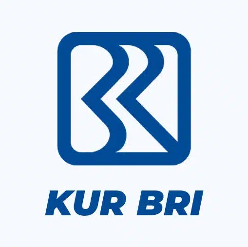 Tip Anti Penolakan saat Mengajukan KUR BRI, Update!