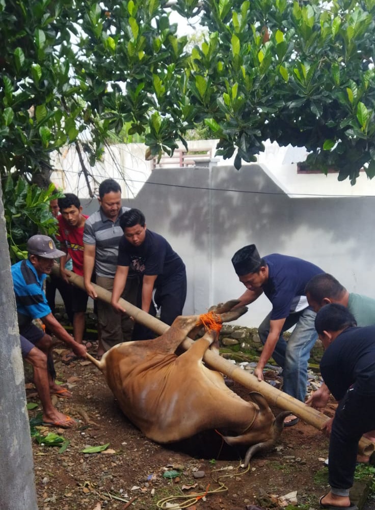 Wajib Tahu! Batas Waktu Penyembelihan dan Ketentuan Pembagian Hewan Kurban, Begini Pesan Nabi Muhammad SAW