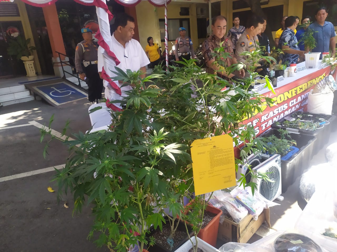 2 WNA Kembangkan Kebun Ganja Hidroponik di Denpasar, Langsung Digerebek Polda Bali