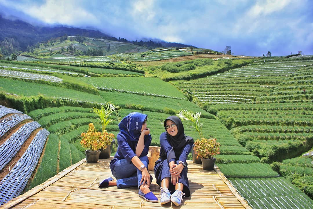 Menakjubkan! Wisata Terasering Berlatar Gunung Sumbing yang 'Baru' Cuma Ada di Sukomakmur Magelang