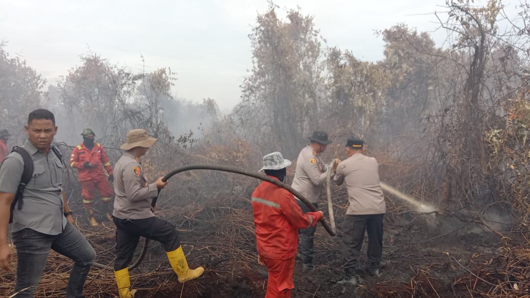 Kabut Asap Tipis Kembali Selimuti Pekanbaru, Kualitas Udara Sempat Capai Level Tidak Sehat