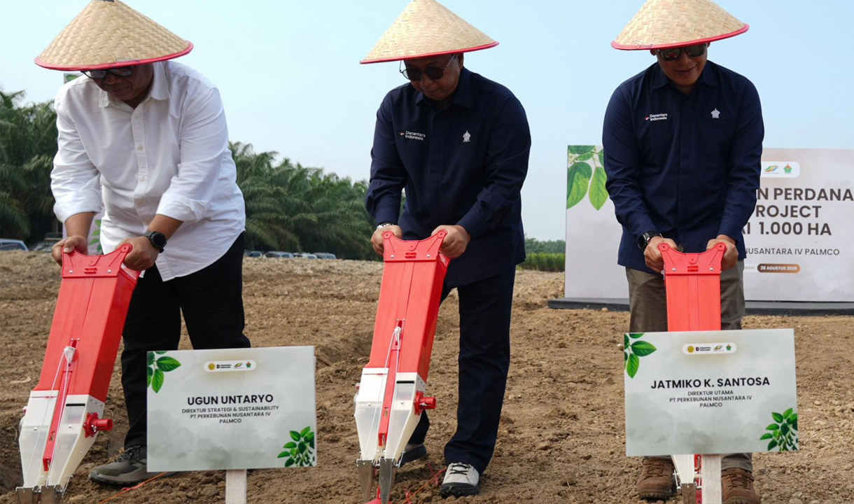 Misi Tekan Import, PTPN IV PalmCo Mulai Pilot Project Kedelai 1.000 Ha