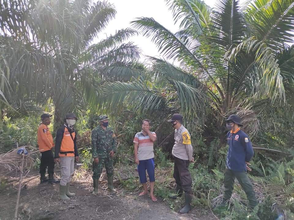 Atasi Kebakaran Hutan di Jambi, Kepala BPBD Bakal Panggil Semua Perusahaan