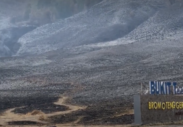 Hitung Kerugian Gunung Bromo Akibat Flare Foto Prewedding, Biaya Pemadaman hingga Satwa Diungkap TNBTS