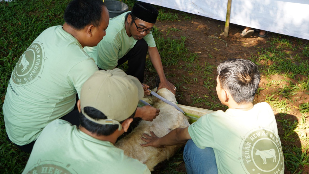 Imarindo Gandeng Dompet Dhuafa Salurkan Hewan Kurban di Bogor