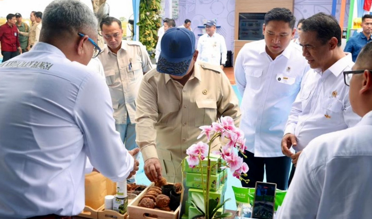 Prabowo Minta Hilirisasi Gambir Dipercepat, Produktivitas Petani Jadi Fokus