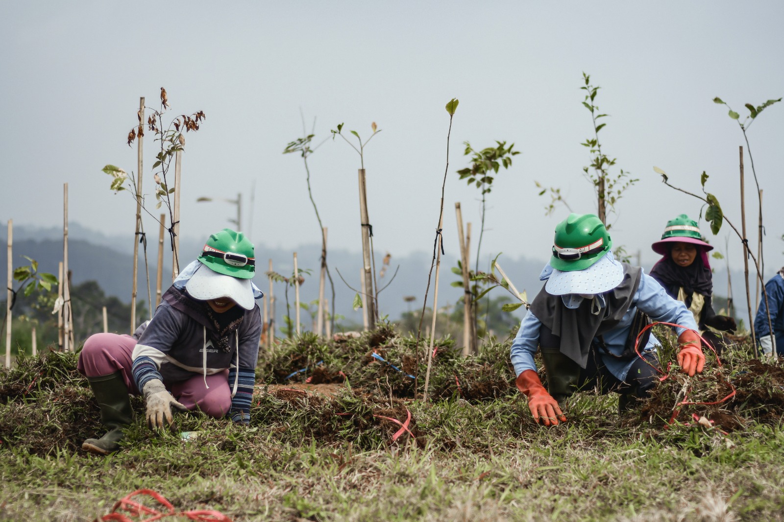 411 Lubang Tambang Emas Ilegal Ditemukan di Taman Nasional Gunung Halimun Salak, Picu Rawan Longsor