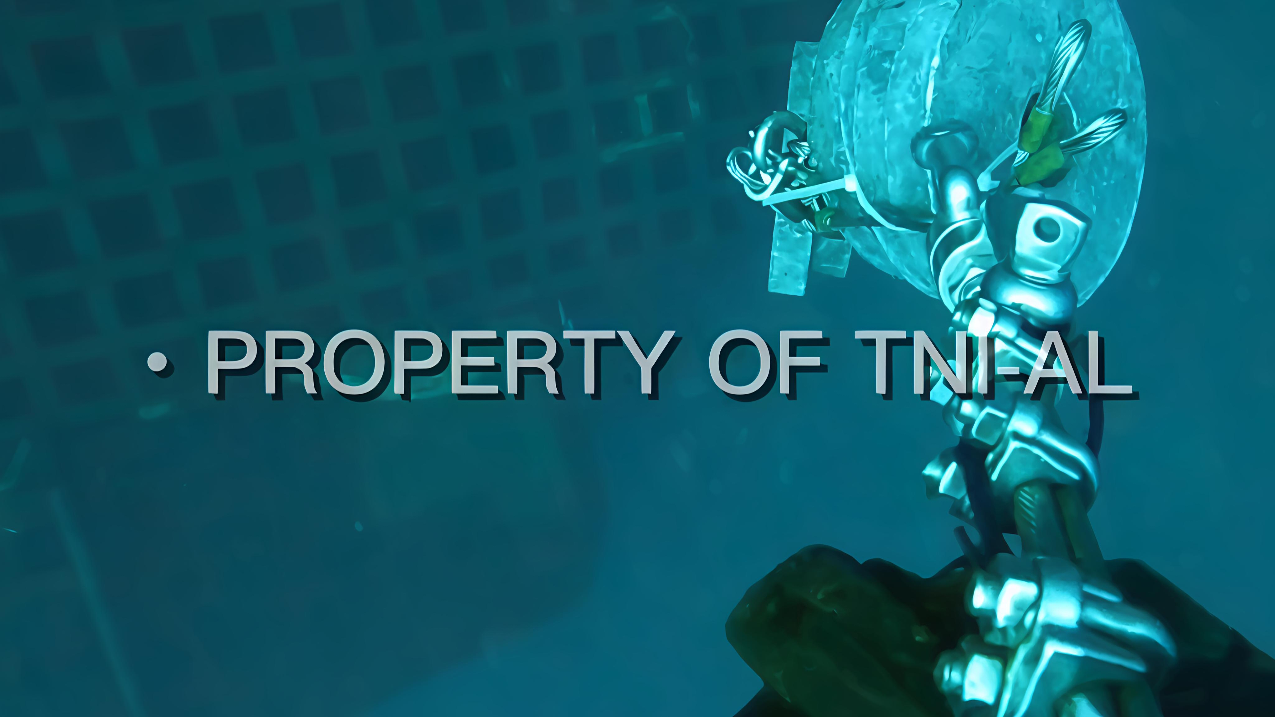 TNI AL dan Tim SAR Gabungan Temukan Bangkai KMP Tunu Pratama Jaya: Terbenam di Dasar Laut Bali