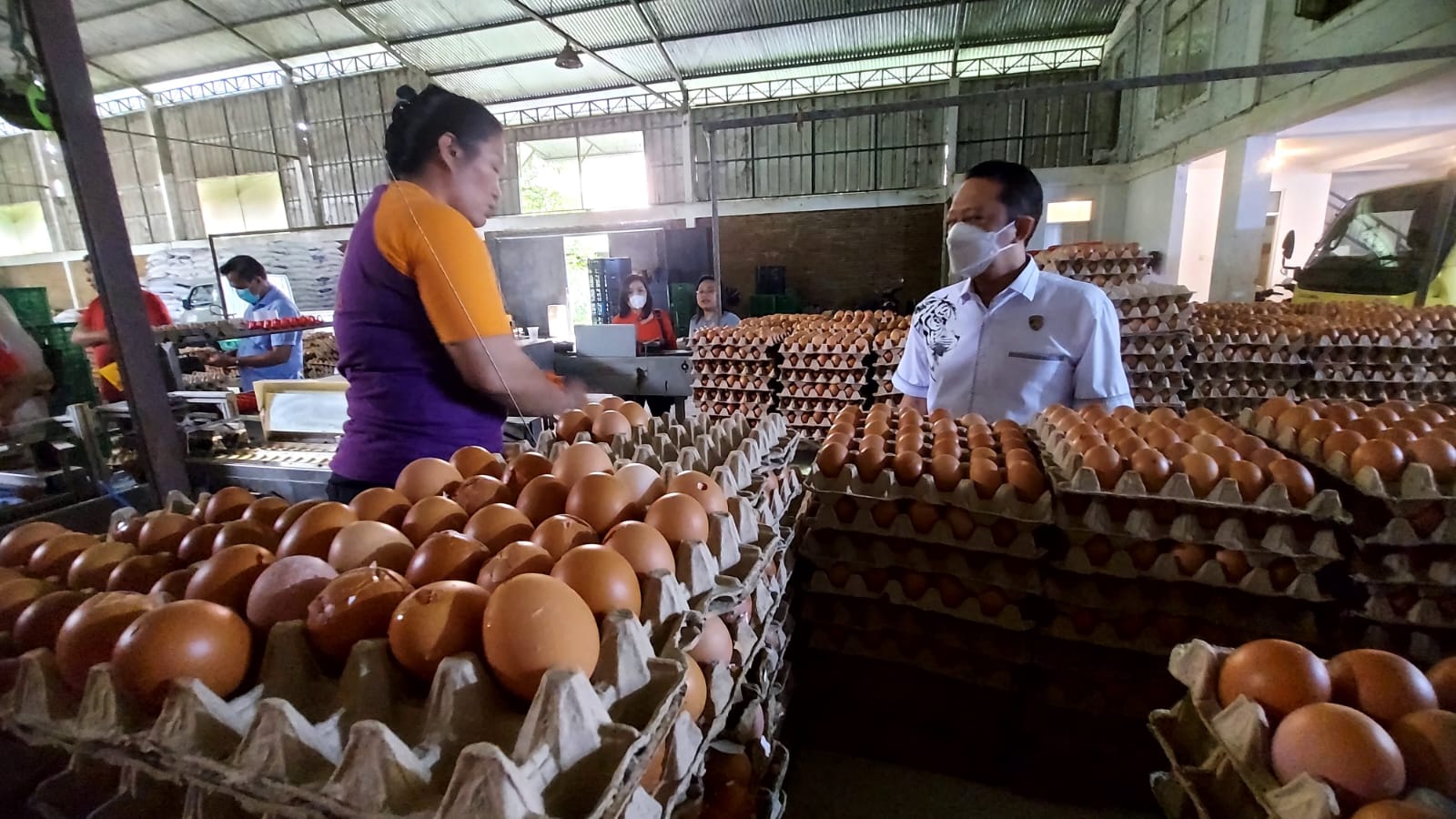 Pemerintah Klaim Produksi Telur Nasional Melimpah, Harga Stabil, dan Pasokan Terjaga
