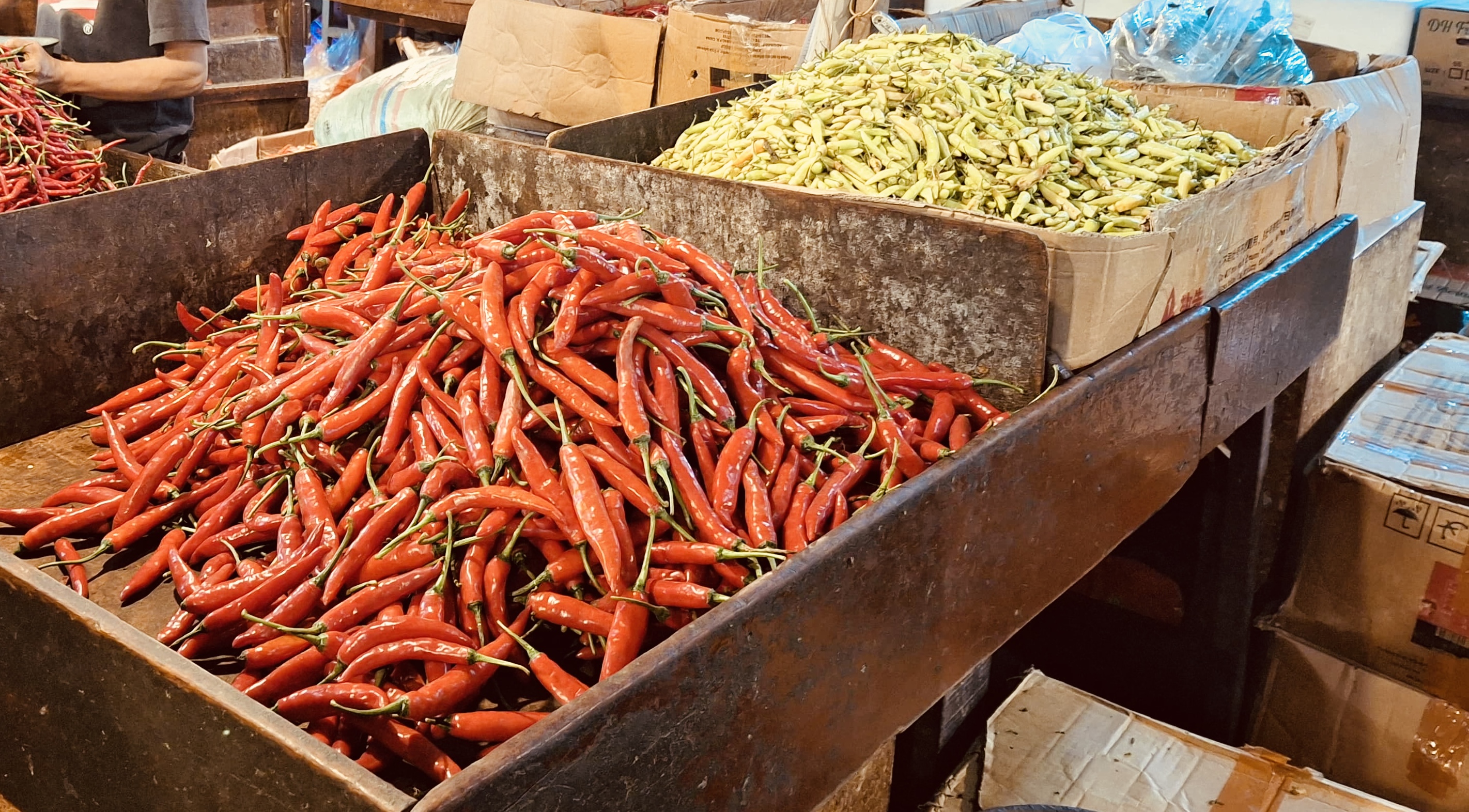 Cuaca Ekstrem Jadi Pemicu Kenaikan Harga Cabai di Jakarta, Dinas KPKP: Panen Menurun