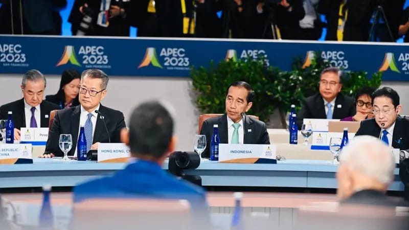 Jokowi Singgung Kondisi Rakyat Gaza di KTT APEC, 'Jangankan Hak Membangun, Hak Hidup Saja Tidak Dihormati'