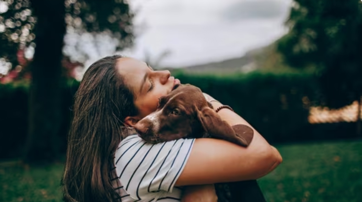 Studi: Tatapan Anak Anjing Ungkap Koneksi Lebih Dalam antara Anjing dan Manusia