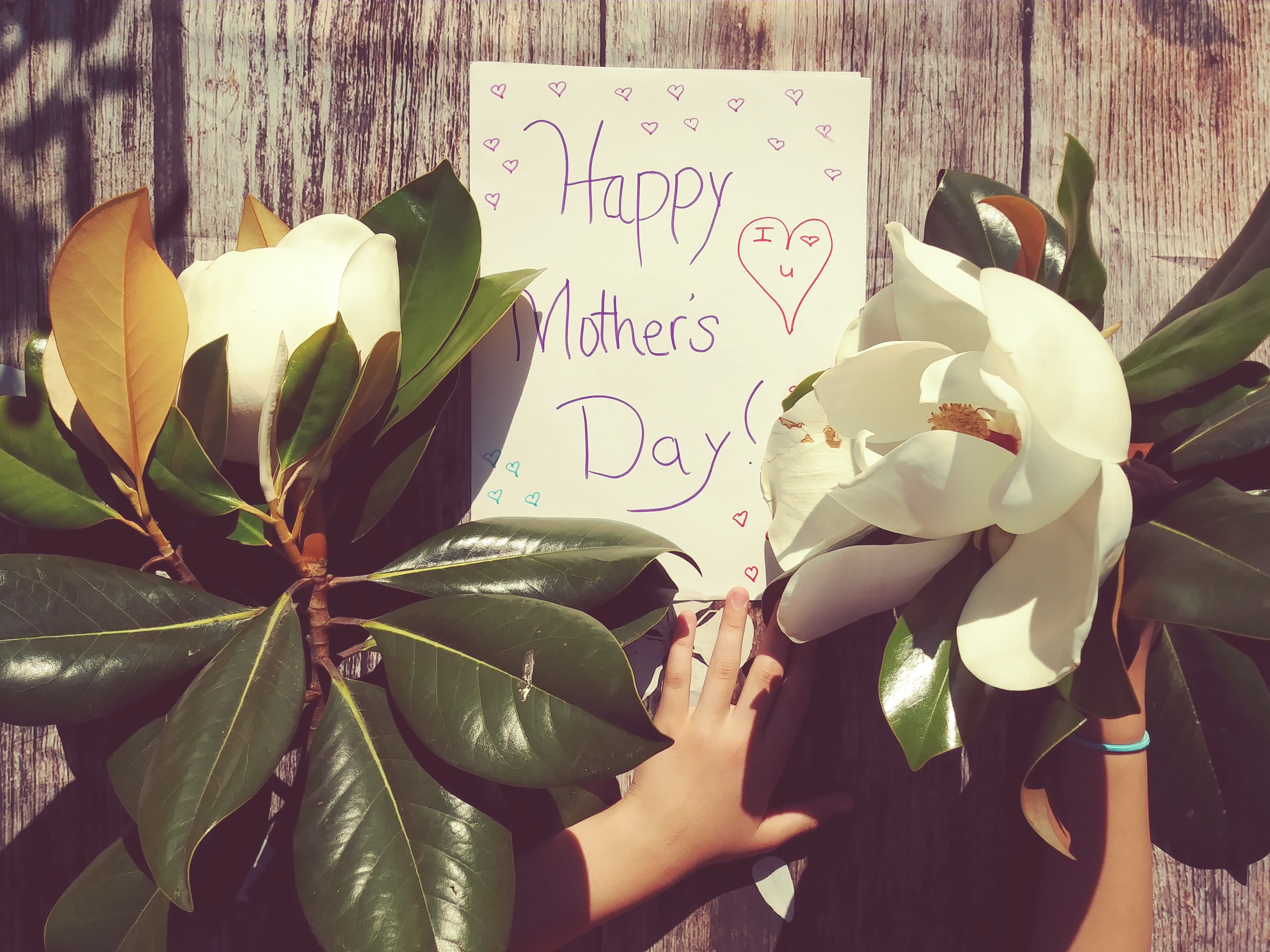 20 Ucapan Selamat Hari Ibu dalam Bahasa Inggris dan Artinya, Sederhana Menghangatkan Hati 