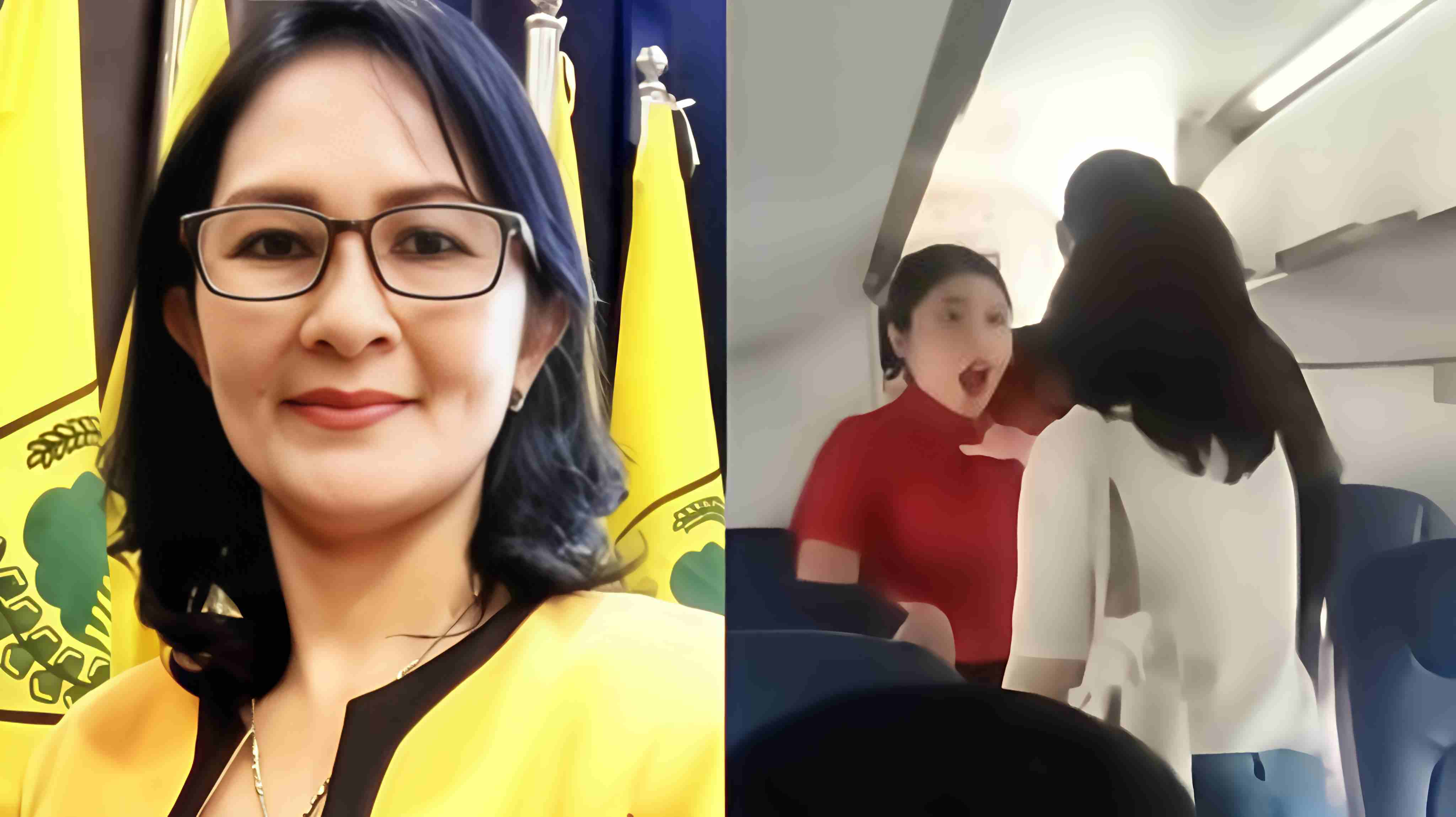 Viral! Anggota DPRD Sumut dari Partai Golkar Diduga Cekik Pramugari Wings Air, DPP Buka Suara