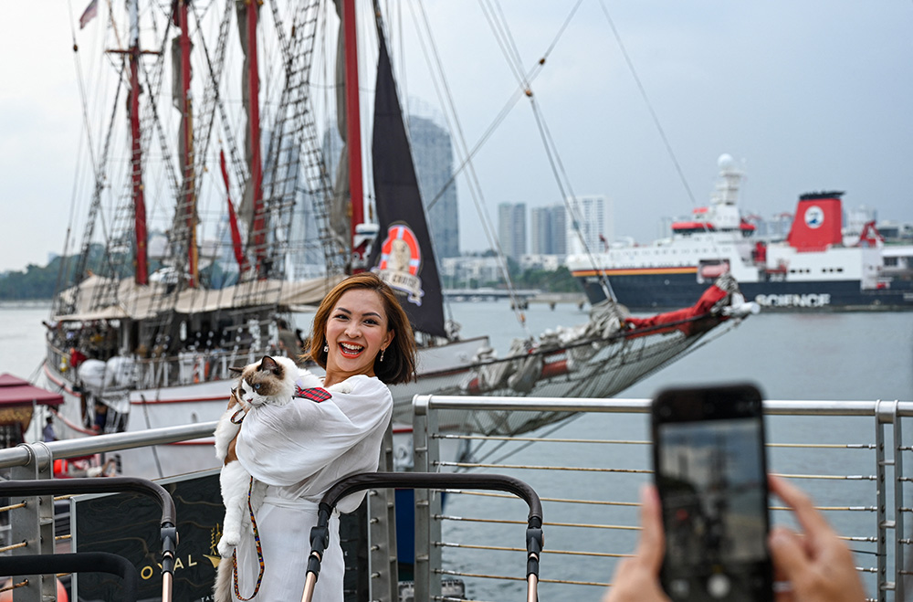 Perusahaan Singapura Luncurkan Kapal Pesiar Mewah Untuk Kucing