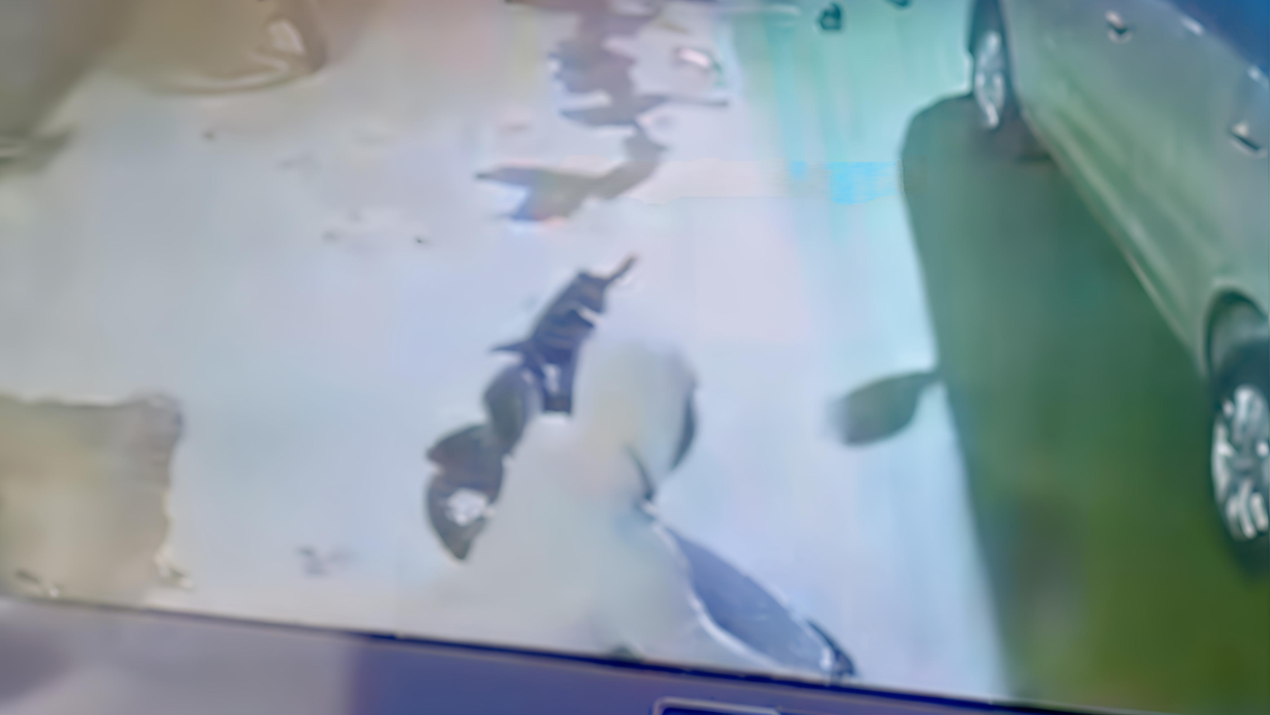 Viral Curanmor Beraksi di Markas PSHT Pamulang, Polisi Buru Pelaku!