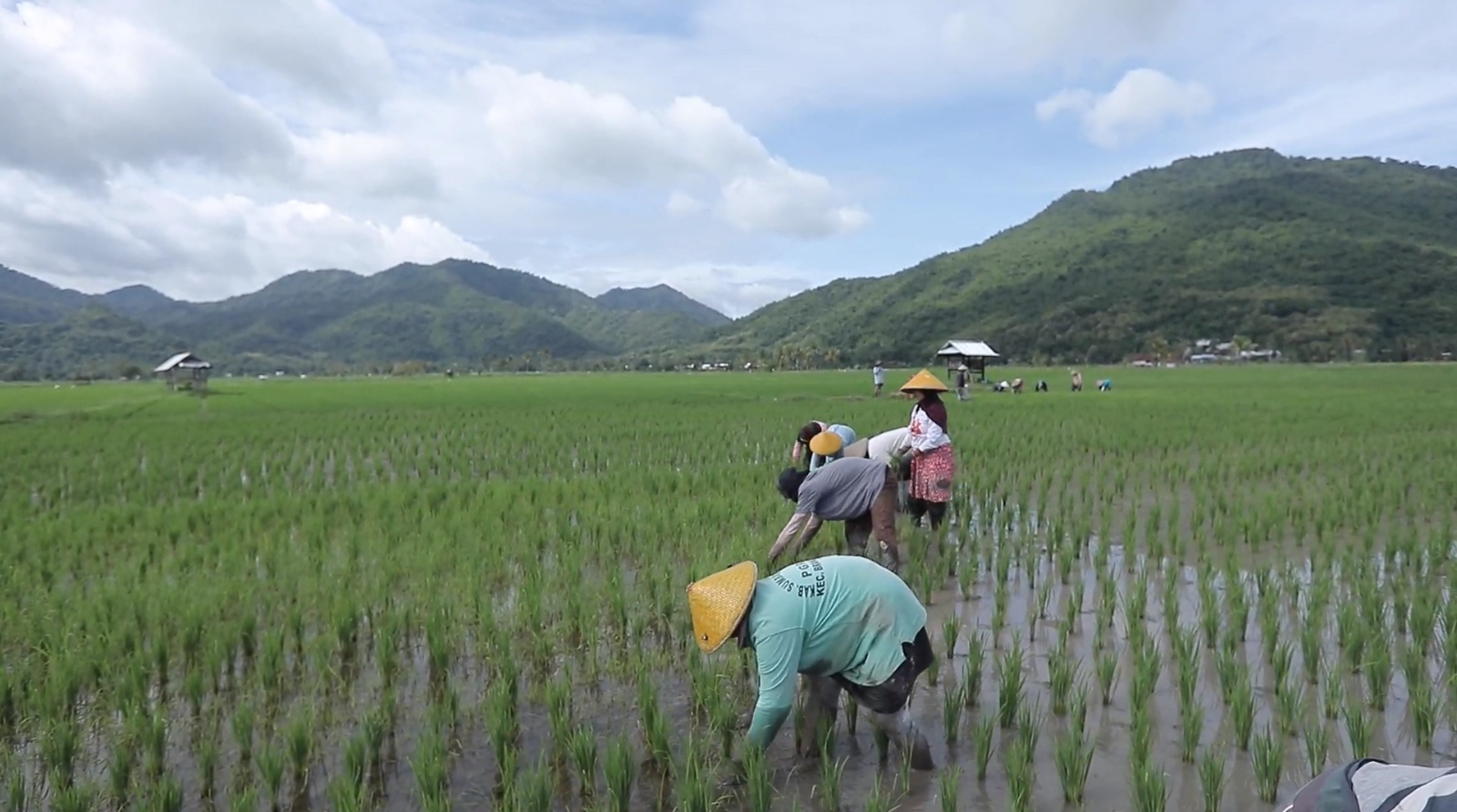 Desa Manemeng Perkuat Ekonomi Kerakyatan Lewat Gotong Royong dan Program Desa BRILiaN