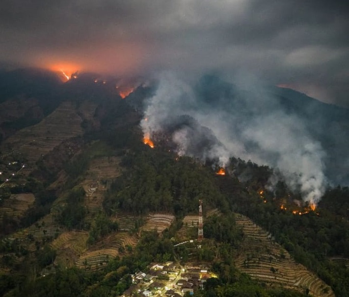 Puncak Musim Kemarau, Potensi Karhutla Tinggi di Jawa dan Sumatera 