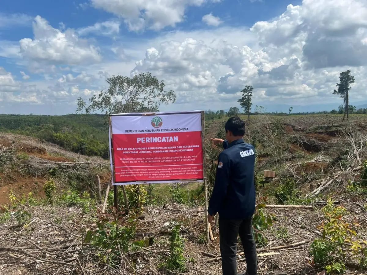 5 Kawasan Pembalakan Liar Diduga Biang Kerok Banjir Sumatera Disegel, Ditemukan Aktivitas Ilegal!