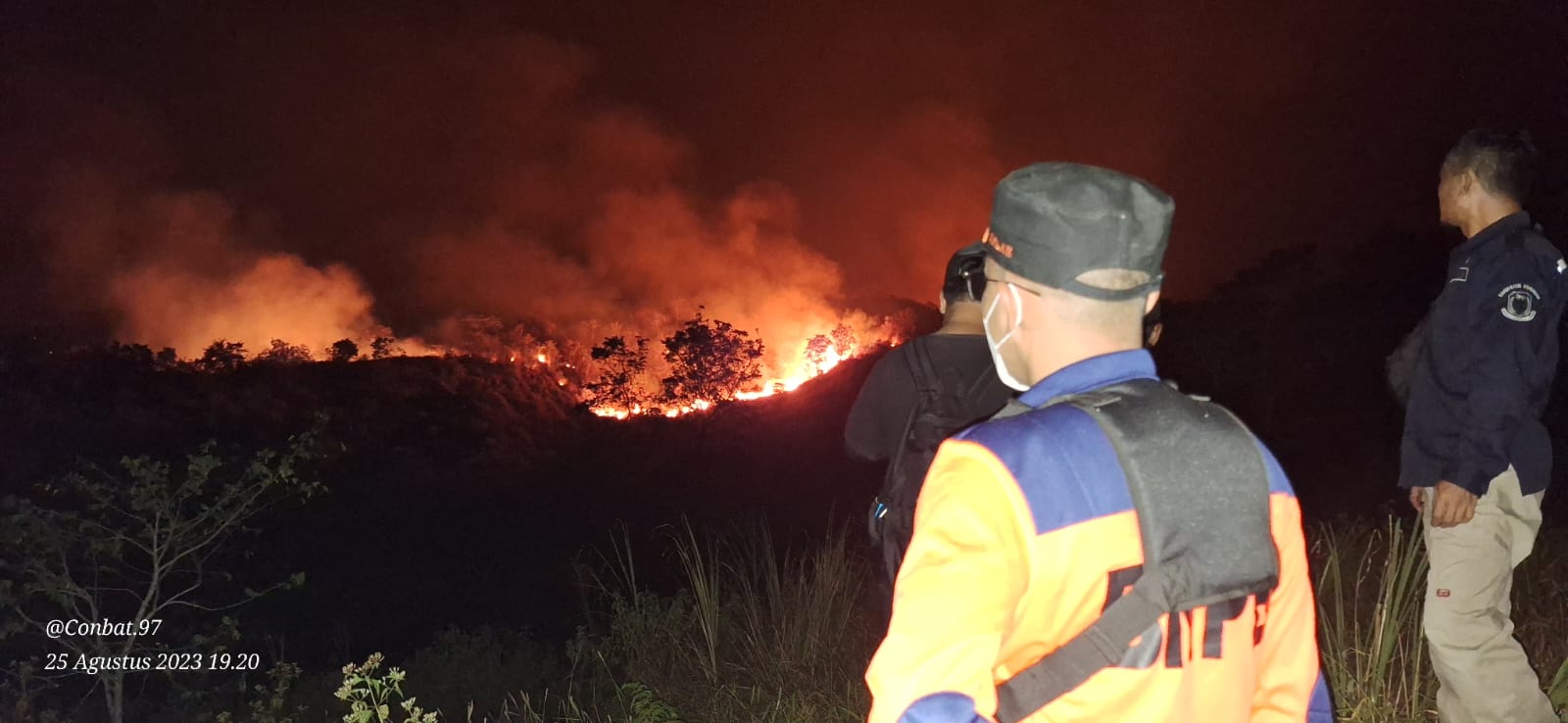 Hutan Taman Nasional Gunung Ciremai Kebakaran, 133 Hektar Dilalap Si Jago Merah 