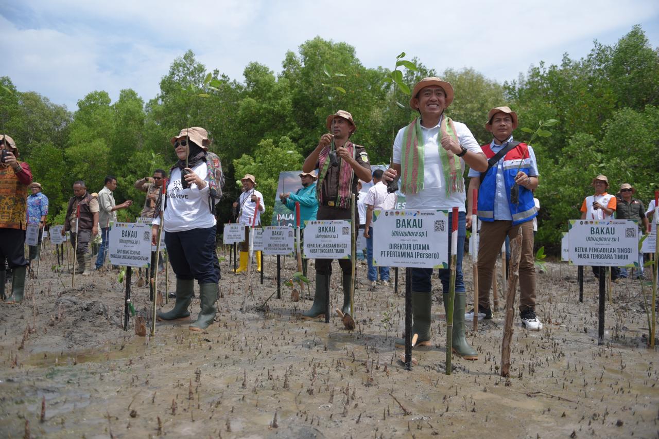Pertamina Rehabilitasi Hutan Mangrove di NTT untuk Mitigasi Perubahan Iklim