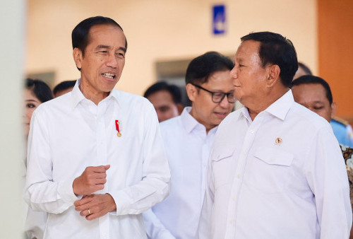 Jelang 137 Hari Pemerintahannya, Jokowi Minta Prabowo Bangun Rumah Sakit dan Kirim Nakes ke Gaza