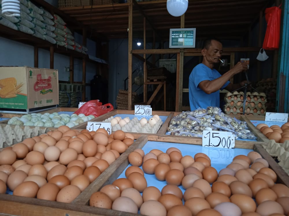Ironi Harga Telur 