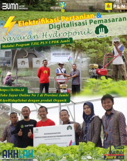 PLN Tingkatkan Produktifitas dan Pemasaran Digital petani di Jambi