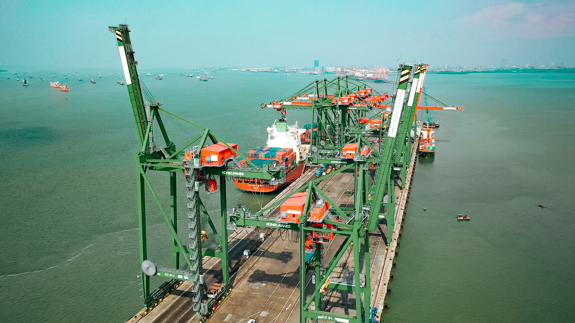 Cara TTL dan Pelabuhan Tanjung Perak Atasi Biaya Logistik: Seragamkan SOP Pemeriksaan Karantina