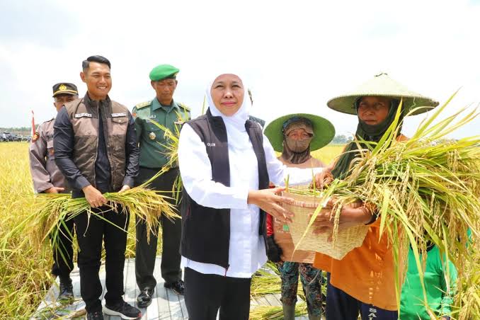 Pertumbuhan Ekonomi Jatim Naik 5 persen Mengungguli Nasional