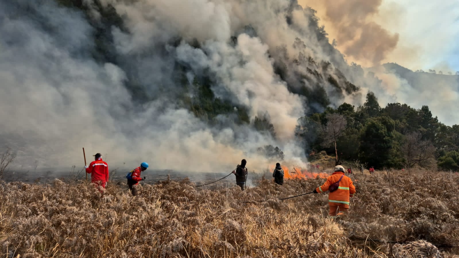 3 Titik Api Jadi Kendala Pemadaman Kebakaran Bromo