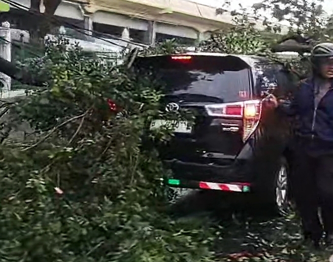 Batang Pohon Patah Timpa Minibus di Depan Stasiun Gambir saat Hujan Lebat