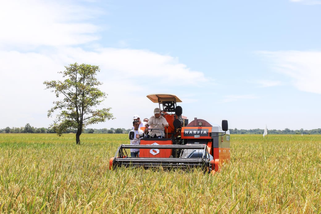 Kementan Optimis Beras Indonesia Bakal Melimpah, Produksi Tertinggi di ASEAN