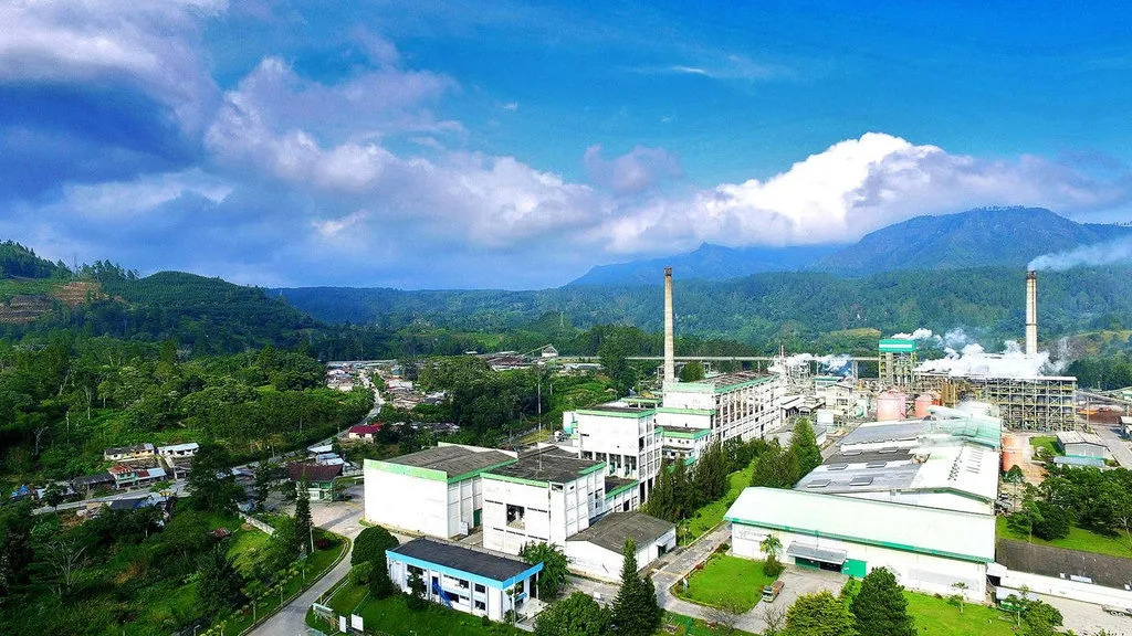 Siapa Pemilik PT Toba Pulp Lestari? Ini Jejak Izin Kelola Hutannya!
